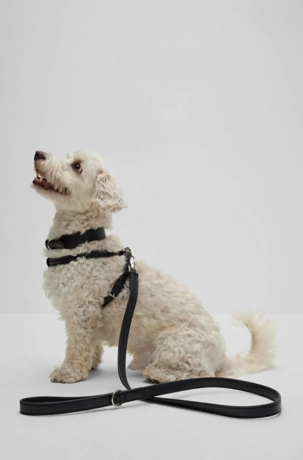 HUGO BOSS Acessórios Para Cães>Trela Para Cães Em Pele Reciclada